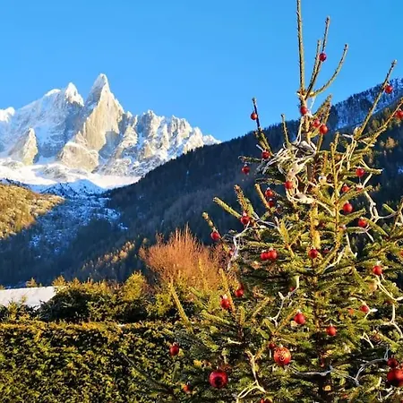 Шале Mazot Le Petit Drus Шамони