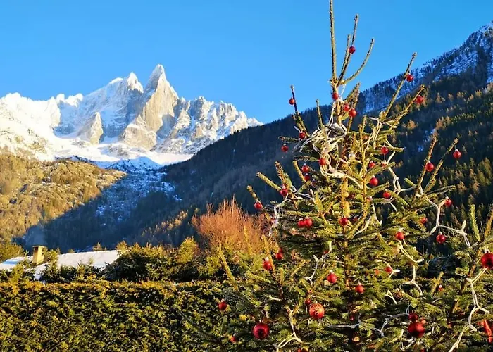 Domek alpejski Mazot Le Petit Drus Chamonix